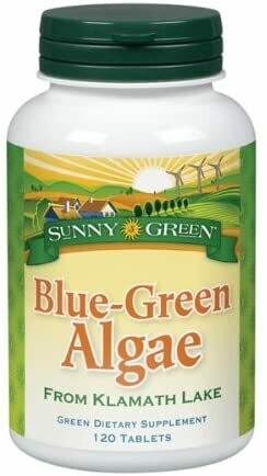 Sunny Green - Blue Green Algae
