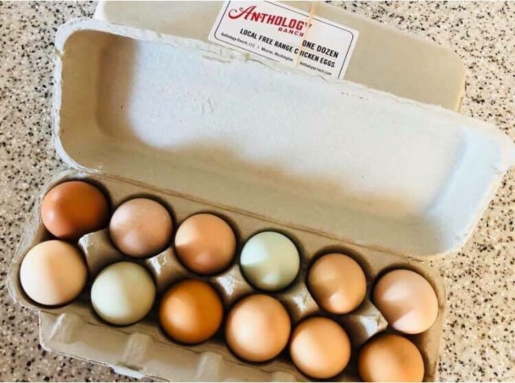 Anthology Ranch Eggs