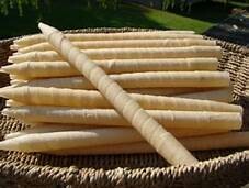 Ear Candles 