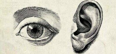 Ears &amp; Eyes