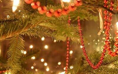 Seasonal