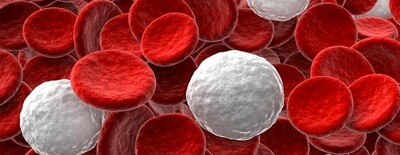 Blood Sugar