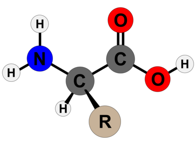 aminos