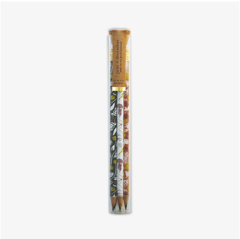 Pencil Terrarium