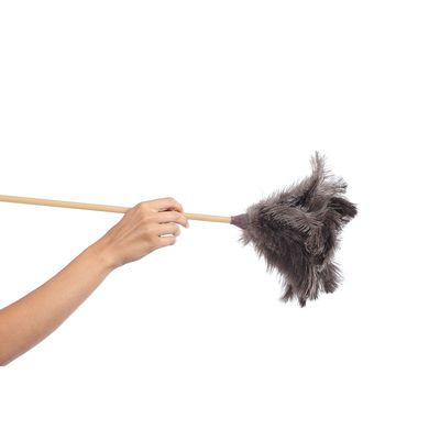 Plumeros y Limpiatechos