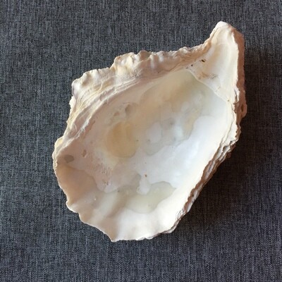 Oyster Shell Vessel