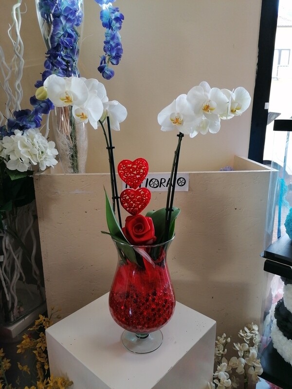 Composizione orchidea