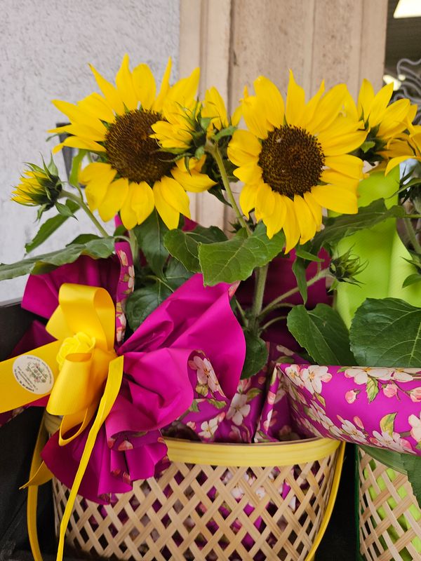 Cestino  girasoli