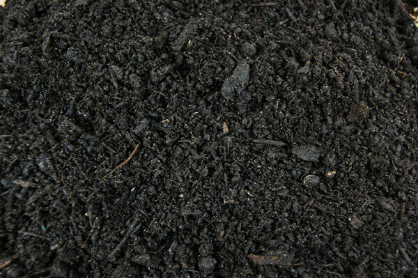 YARD COMPOSTED BLACK LOAM SOIL