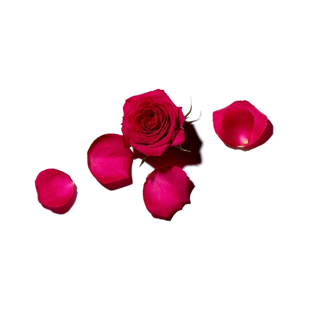 Rose Amelie Revitalizing Body Lotion 300ml