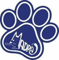 MADRA Online Store