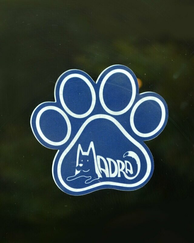 Window Decal