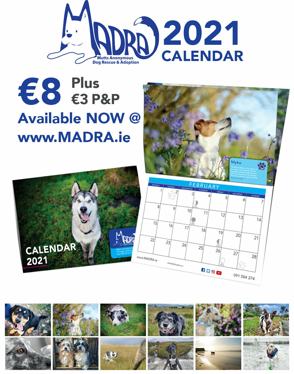 2021 Calendar - NOW IN-STOCK! 2021 Calendar - NOW IN-STOCK!