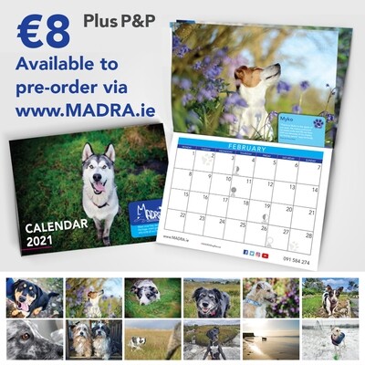 2021 Calendar - NOW IN-STOCK! 2021 Calendar - NOW IN-STOCK!
