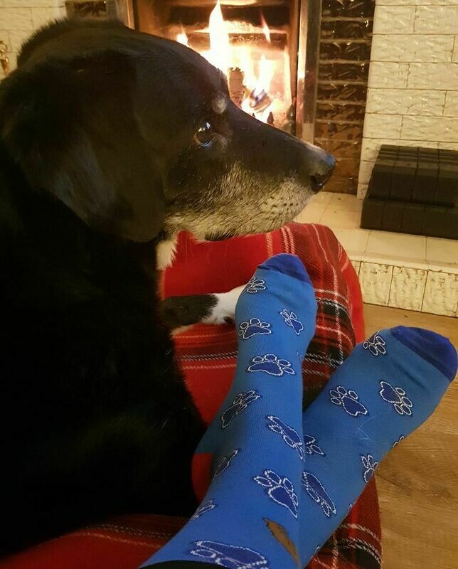 MADRA Standard Socks