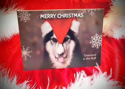 Christmas Cards - Single Christmas Cards - Single