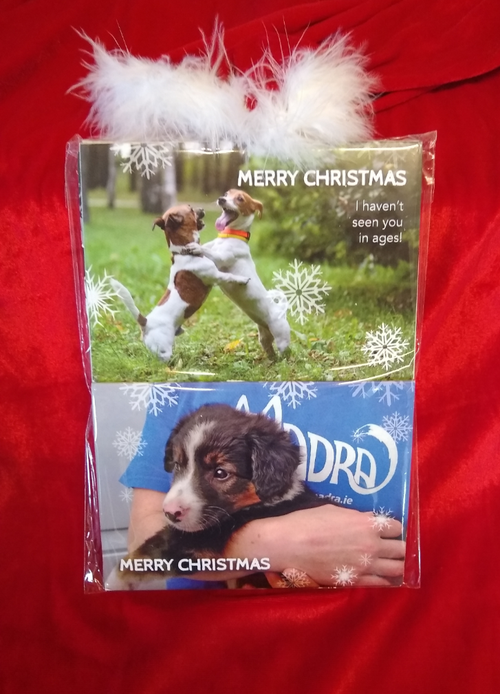 10 Pack MADRA Christmas Cards 10 Pack MADRA Christmas Cards