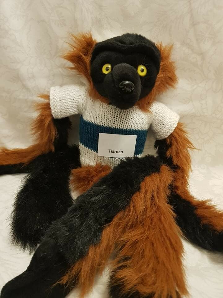 MADRA Bears with Handmade Outfits MADRA Bears with Handmade Outfits