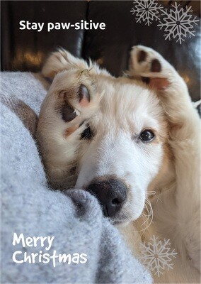 Christmas Cards Christmas Cards