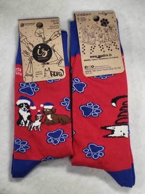 Christmas Socks 2023 - Adult Christmas Socks 2023 - Adult