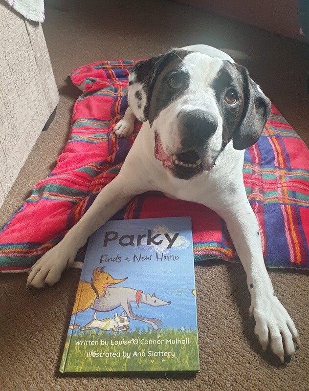 Parky Finds a New Home Hardback