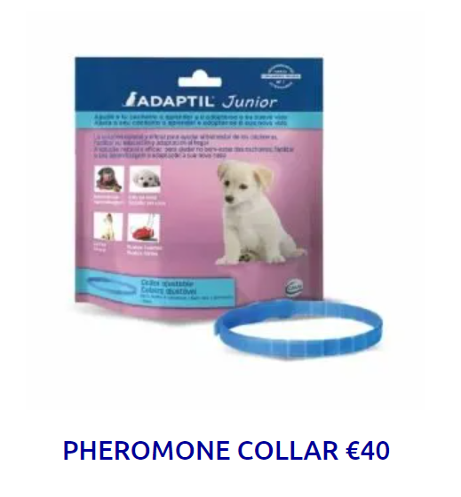THE GIFT OF A PHEROMONE COLLAR