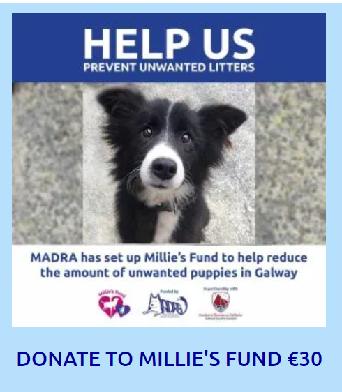 DONATION CERTIFICATE FOR MILLIE&#39;S FUND