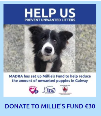 DONATION CERTIFICATE FOR MILLIE'S FUND