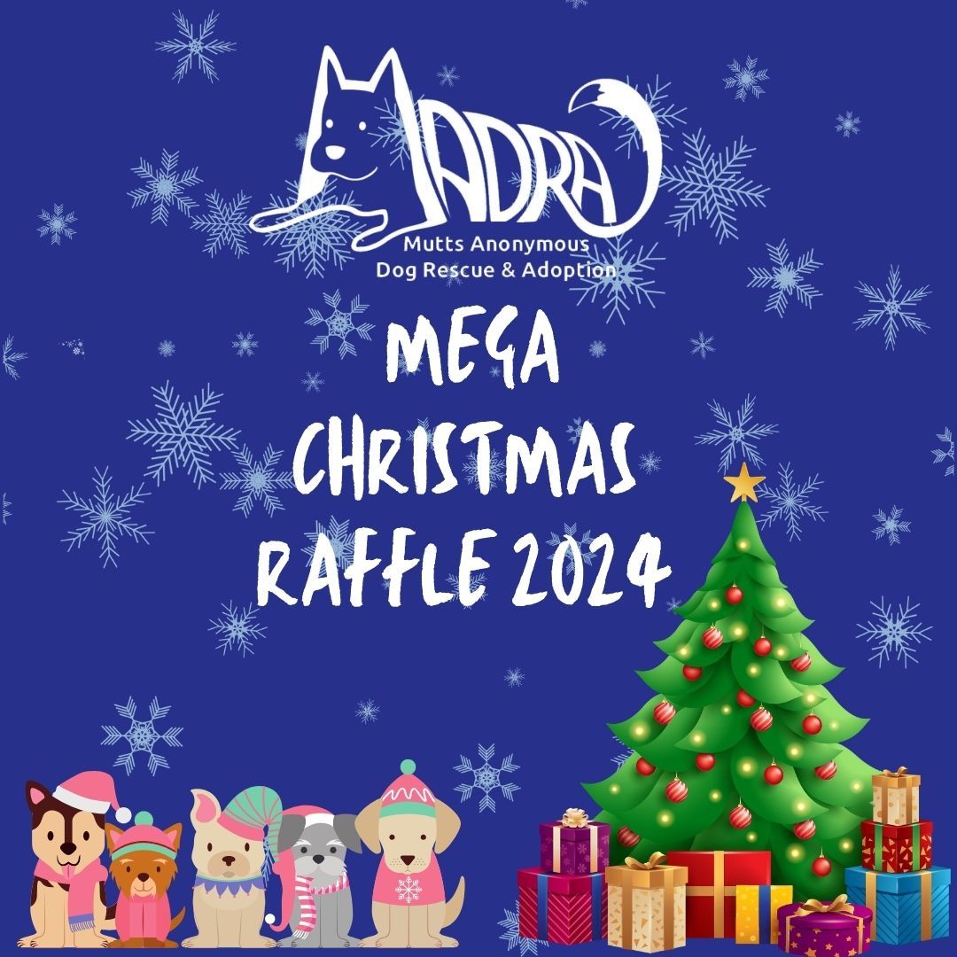 Mega Christmas Raffle 2024