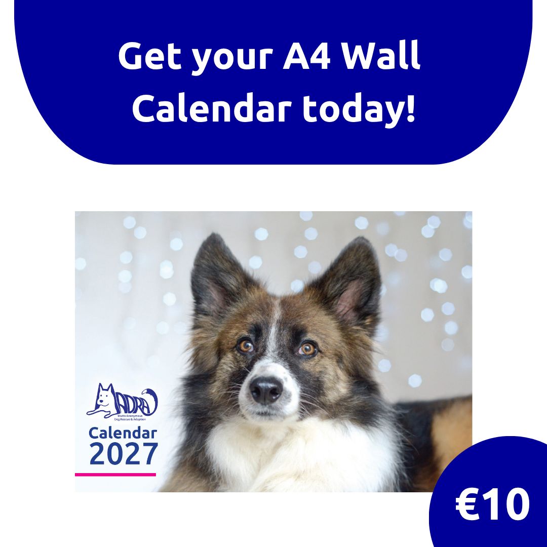 2027 Calendar