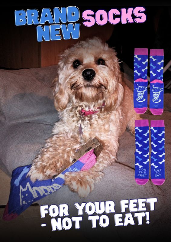 MADRA Socks - For your feet, Not to eat!