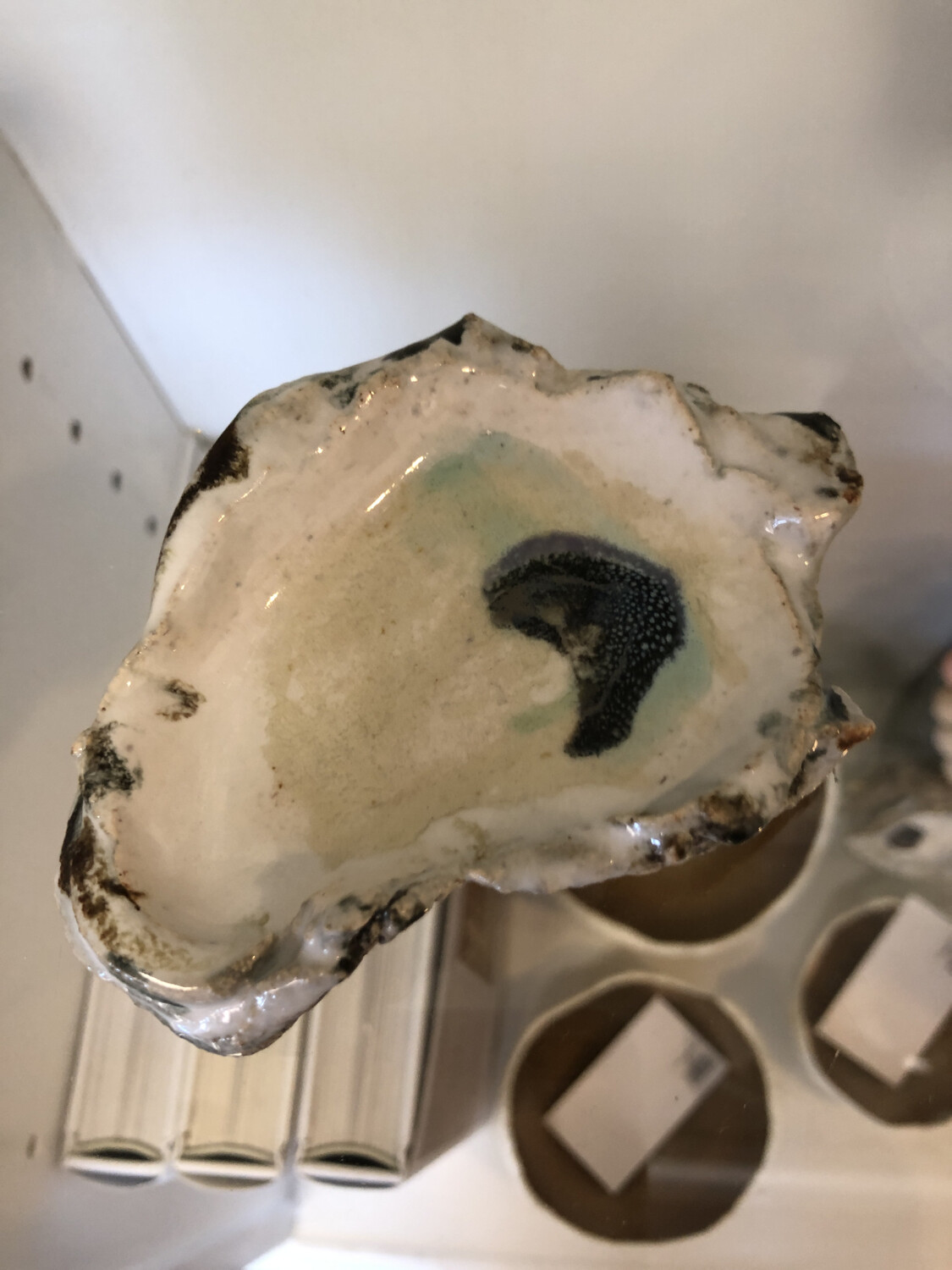 Small Oyster