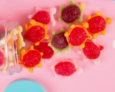 Candy Club Jelly Shell Sea Turtles