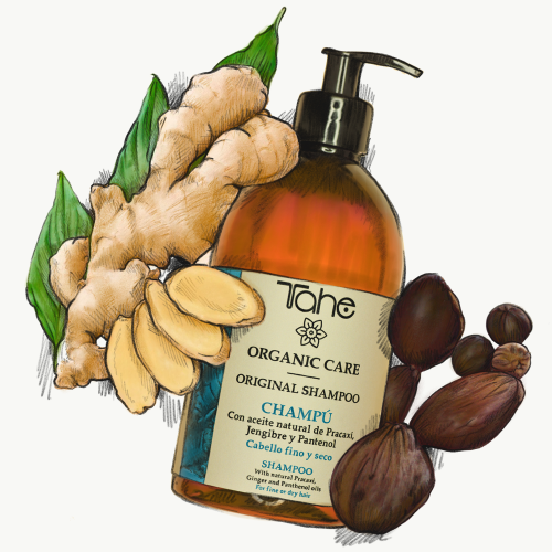CHAMPÚ ORIGINAL ORGANIC CARE