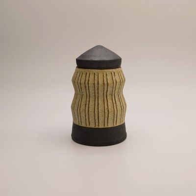 Zig-zag canister