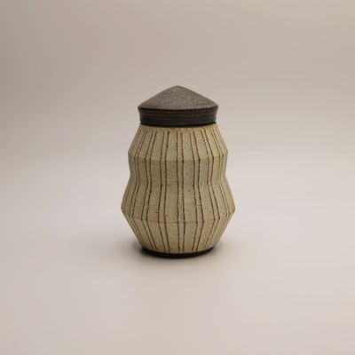Zig-zag canister