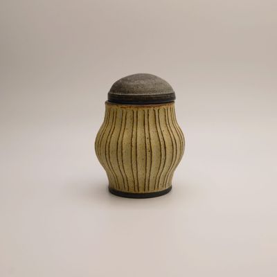 Wave canister