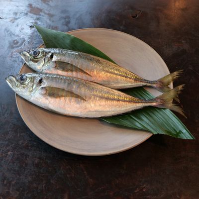 7/11（金）・12（土）  鯵の会