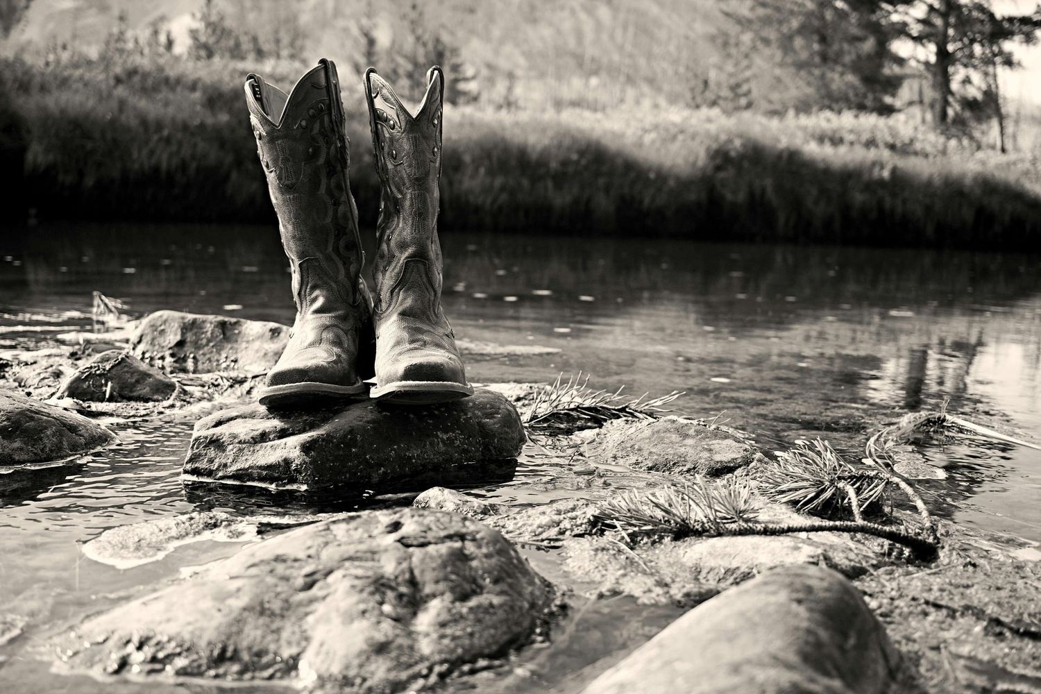 Exotic Boot Cleaning