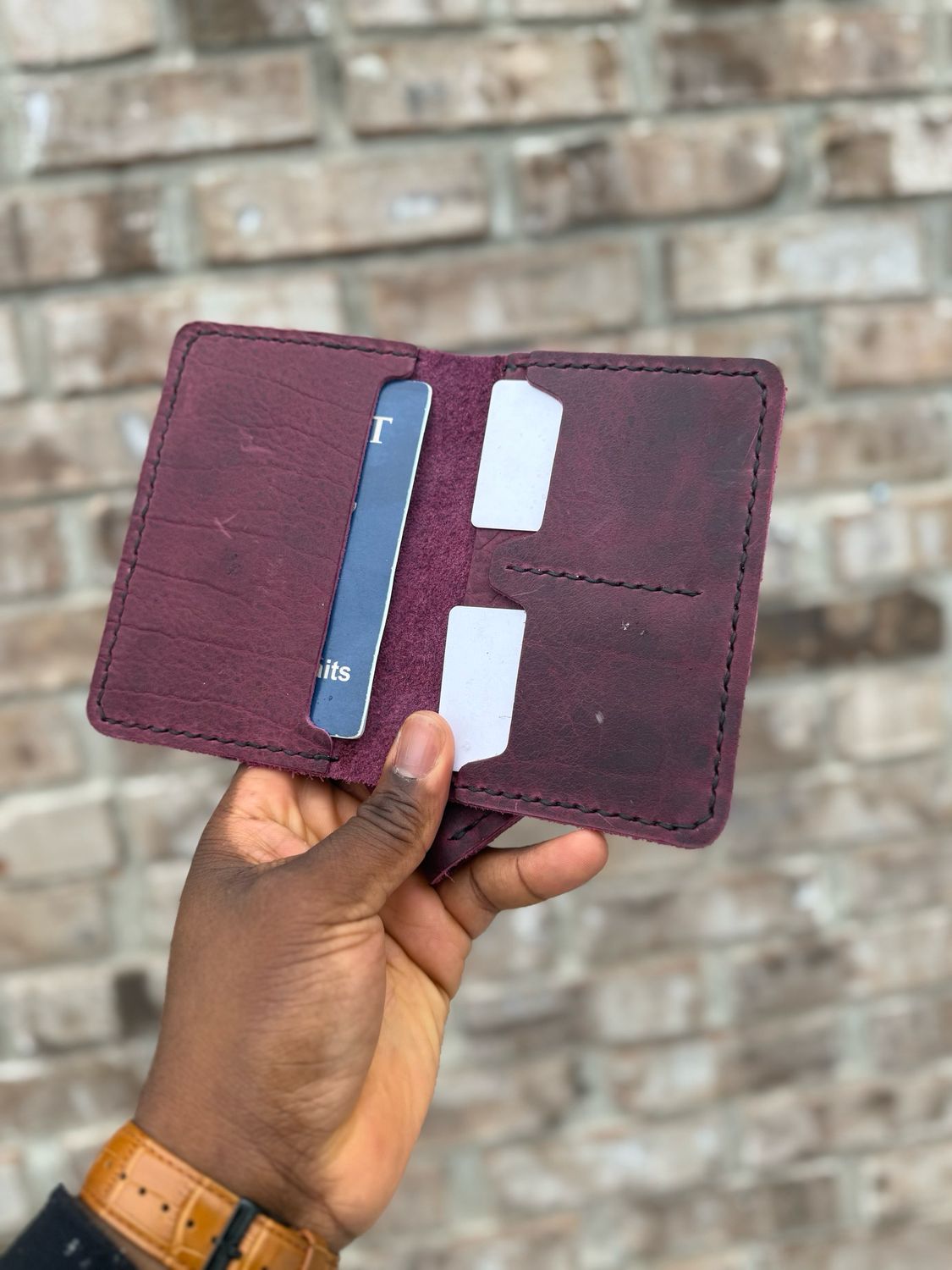 The “Explorer “ Plum Bison