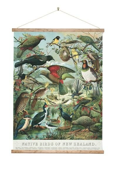 Native Bird Large Wall Chart