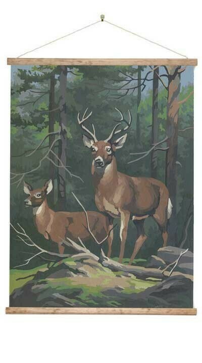 Stag Paint by Numbers Large Wall Chart