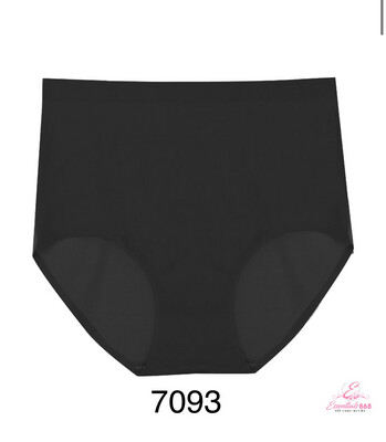 Highwaist Seamless Underwear (762)