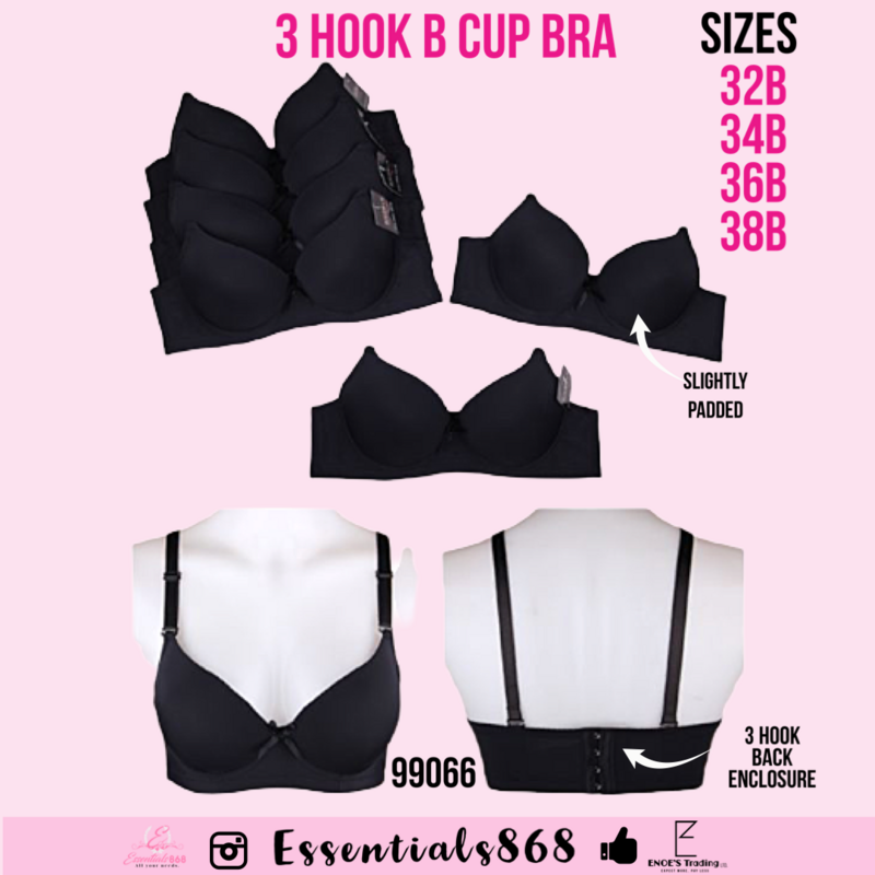 Slightly Padded 3 Hook Bra 