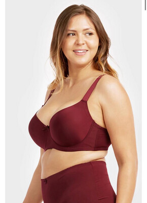 Extra Coverage Bras - D Cup