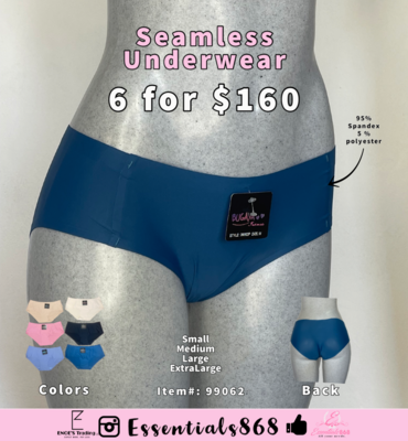 Seamless Full Cut Underwear (6 PCS)