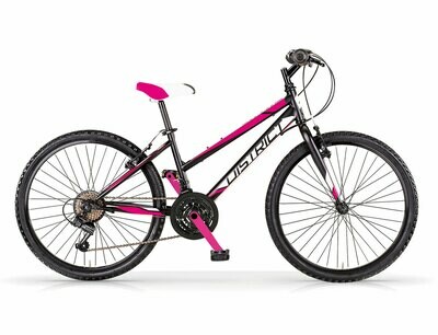 District 20&#39;&#39; MBM DONNA 6V