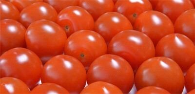 Canadian Cherry Tomatoes (pint)