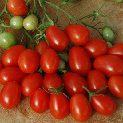Grape Tomatoes (pint)