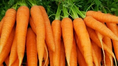 Whole Carrots (1lb Bag)